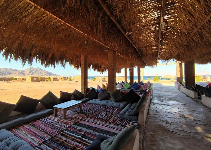New Droub Camp *
