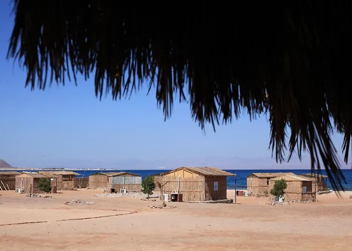 New Droub Camp *