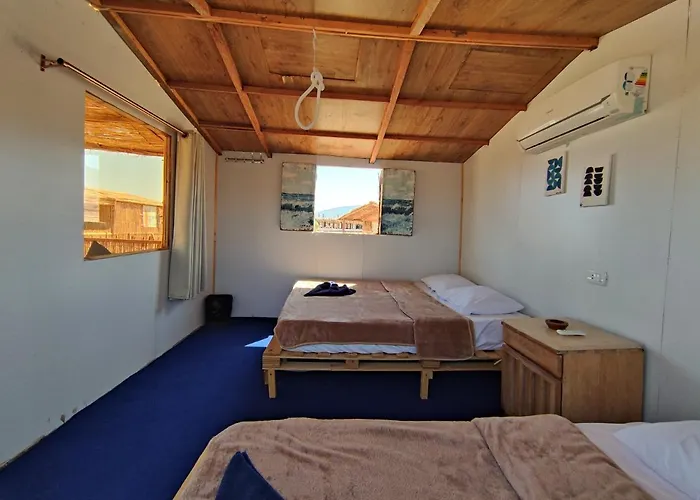 New Droub Camp *