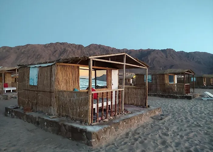 New Droub Camp