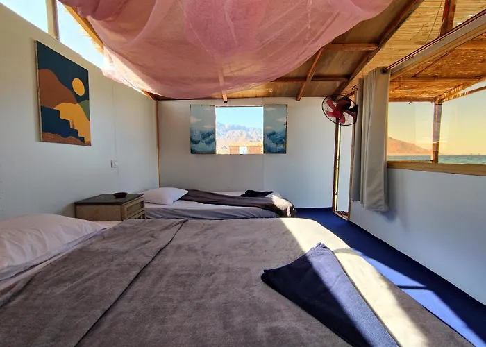 فندق New Droub Camp