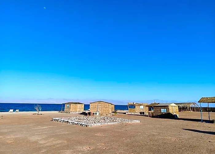 New Droub Camp *